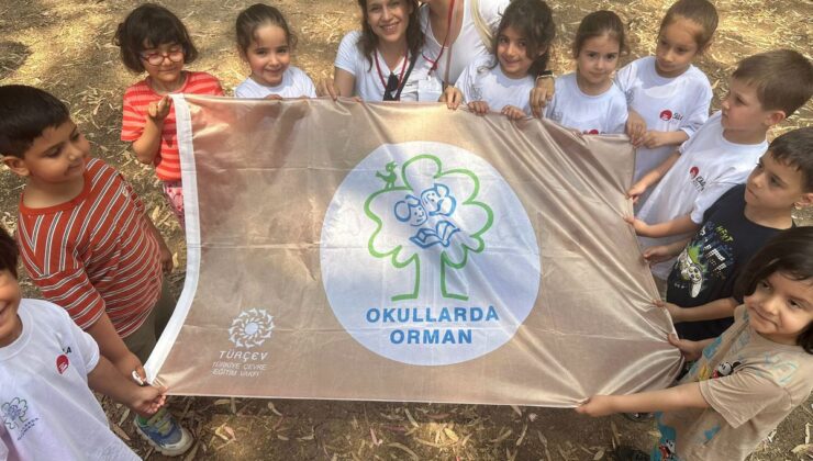 267 okula ‘Orman bayrağı’; İstanbul ilk sırada