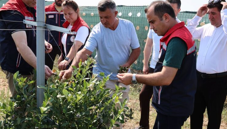 <a href="/finans/">FİNANS</a>