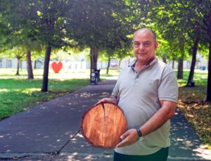 Ağaç halkaları: Doğanın iklim arşivi