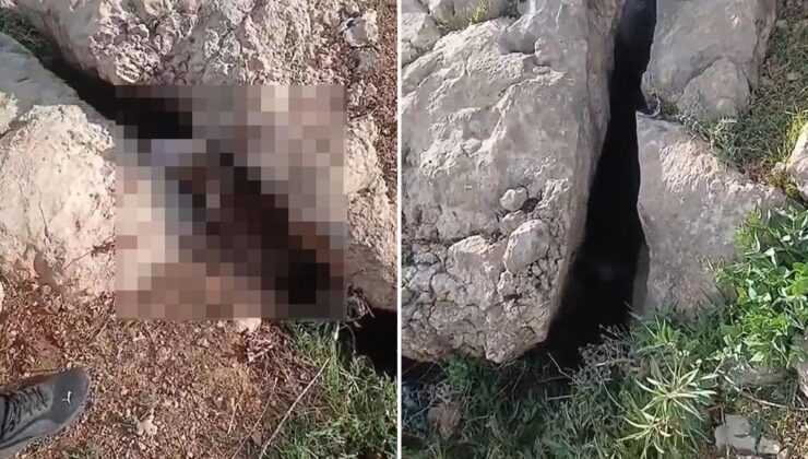 Altın ararken karşılaştıkları manzara karşısında donup kaldılar