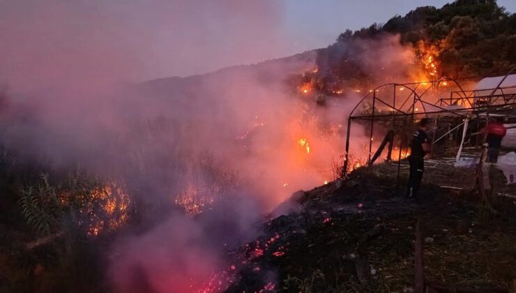 Antalya’da 3 günde 8 ilçede 34 yangın çıktı