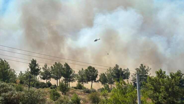 Antalya’nın Kumluca ilçesinde orman yangını çıktı