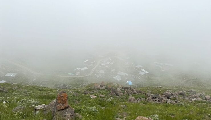 Ardahan ve Artvin’in yüksek kesimlerinde sis etkili oldu
