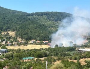Aydın Kuyucak’ta zeytinlik alanda çıkan yangın kontrol altına alındı