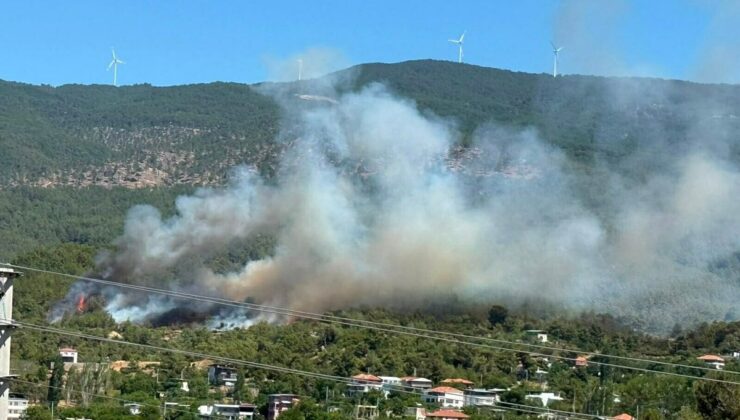 Aydın’da orman yangını
