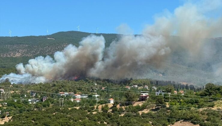 Aydın’da ormanlık alanda yangın çıktı