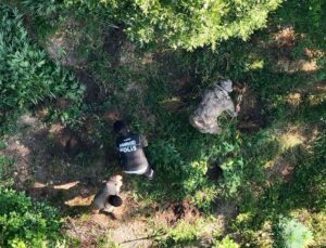 Bafra’da uyuşturucu operasyonu: 1 tutuklama