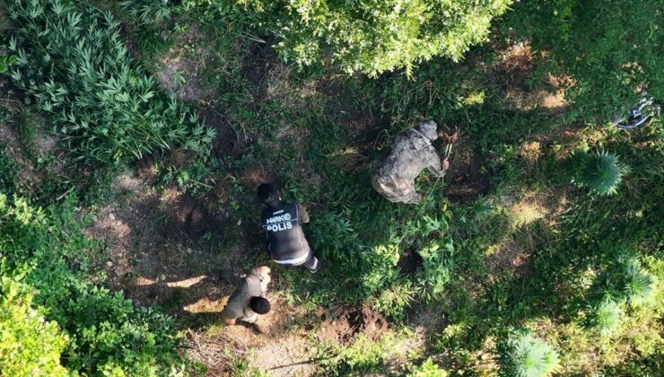 Bafra’da uyuşturucu operasyonu: 1 tutuklama
