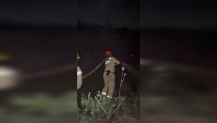 Bakan Yumaklı: 4 ilde yangınlar büyük ölçüde kontrol altında, Alanya’da mücadele sürüyor