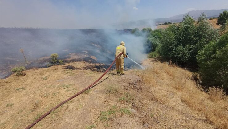 Bingöl’de otluk alanda çıkan yangınlar söndürüldü