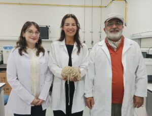 BTÜ’den ‘Uyutan İplik’: Uyku bozukluğuna doğal çözüm