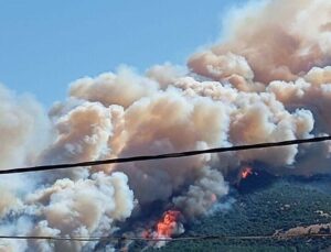 Çanakkale’de orman yangını