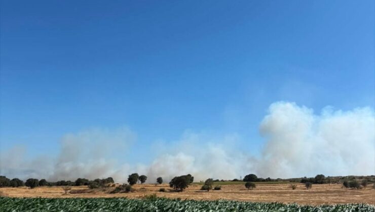 Çanakkale’nin Biga ilçesinde tarım arazisinde başlayıp ormanlık alana sıçrayan yangına müdahale ediliyor