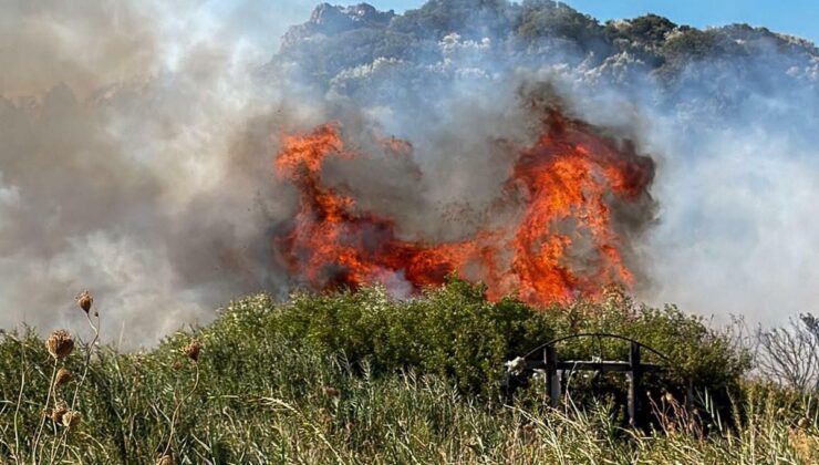 Datça’da Makilik Alanda Yangın: 2 Dönüm Zarar Gördü