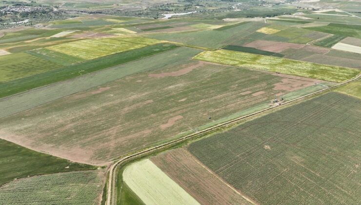 Erzincan’da alternatif ürünlerle tarımsal üretim çeşitleniyor