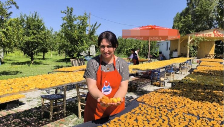 Iğdırlı kadınlar, kayısıyı güneşte kurutup ekonomiye kazandırıyor