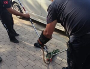 İnegöl’de Park Halindeki Minibüsün Motoruna Giren Yılan İtfaiye Tarafından Kurtarıldı