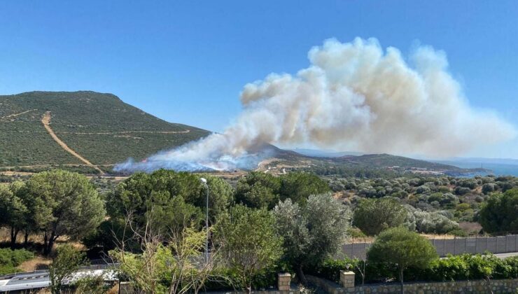 İzmir Foça’da orman yangını