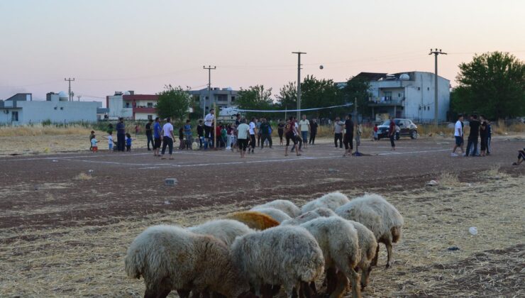 Mardin’de Köylüler Kendi İmkanlarıyla Kurdukları Toprak Sahada Voleybol Oynuyor