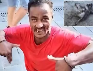 Martılara falçatayla saldıran kişi yakalandı! Bakın kim çıktı