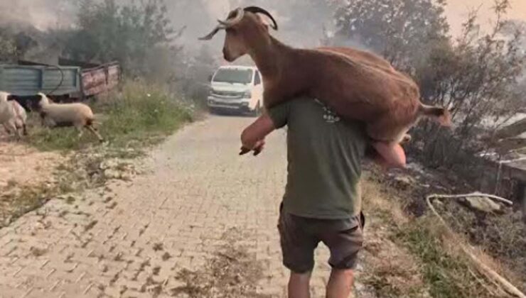 Muğla Seydikemer’deki orman yangınına havadan müdahale yeniden başladı