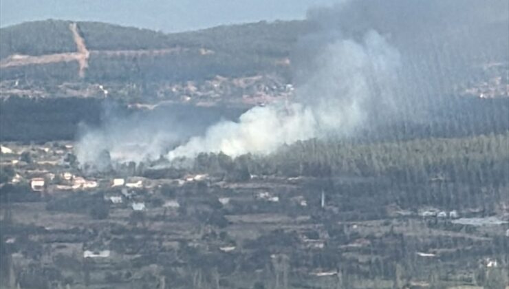 Muğla’da çıkan orman yangınına müdahale ediliyor
