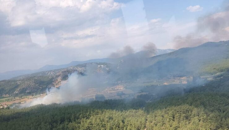 Muğla’da tarım arazisinde çıkan yangın ormana sıçradı