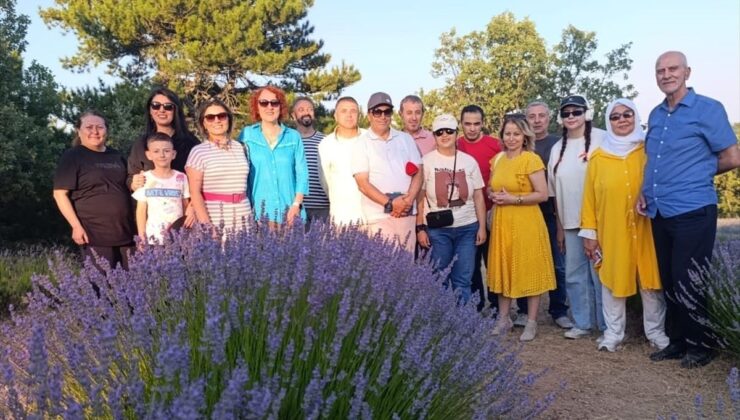 Nallıhan’daki lavanta bahçesi misafirlerini ağırlıyor