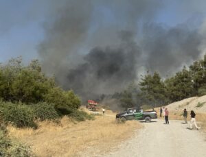 Şanlıurfa’da otluk yangını ormana sıçradı