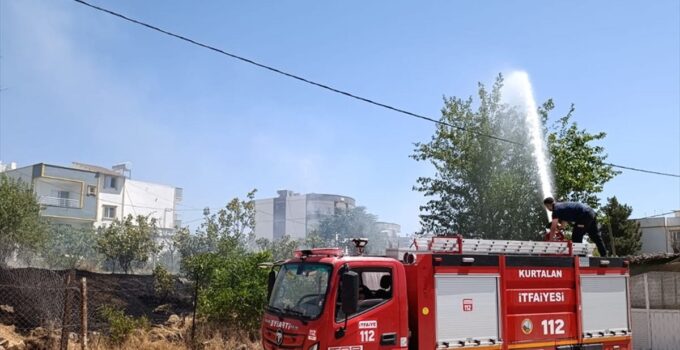 Siirt’te meyve bahçesinde yangın