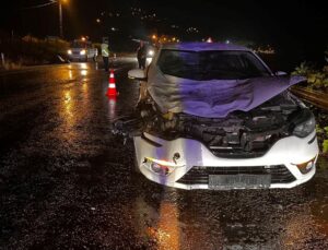 Sinop’ta büyükbaş hayvana çarpan otomobildeki 1 kişi yaralandı