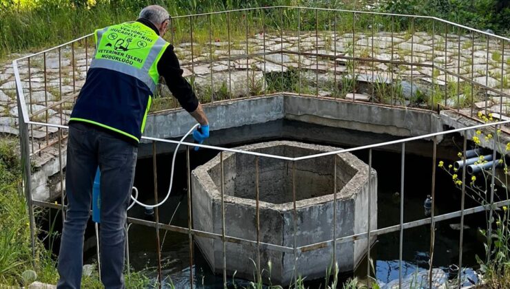 Süleymanpaşa’da haşereyle mücadele sürüyor