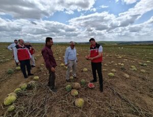 Tekirdağ’da doludan zarar gören tarım arazilerinde hasar tespit çalışmaları sürüyor