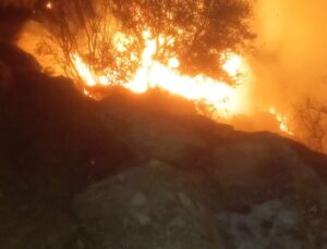 Yatağan’da gece orman yangını: Ekipler karadan müdahale ediyor