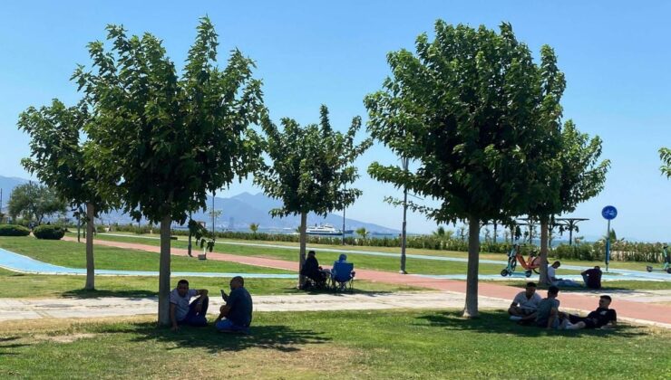 Afrika’dan gelen sıcak hava dalgası Türkiye’yi etkisi altına alacak: Perşembeye kadar 3-6 derece daha sıcak