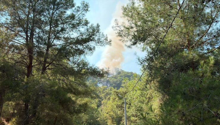 Alanya’da Orman Yangınına Müdahale Sürüyor