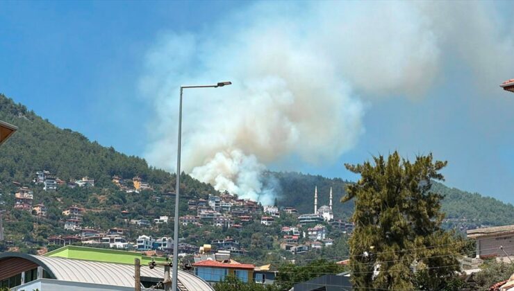 Antalya’nın Alanya ilçesinde ormanlık alanda yangın çıktı