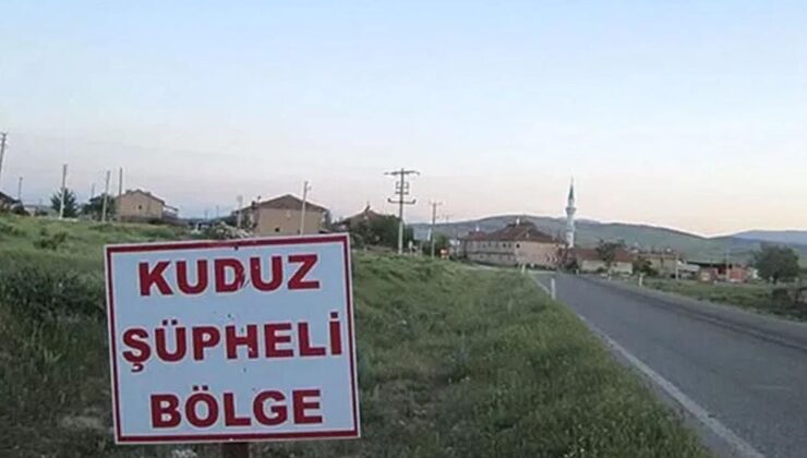 Ardahan’da kuduz vakası nedeniyle bir bölge karantinaya alındı