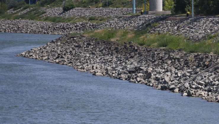 Avusturya’da Rekor Sıcaklık: 41 Derece, Orman Yangınları ve Tuna Nehri’nde Düşük Su Seviyesi