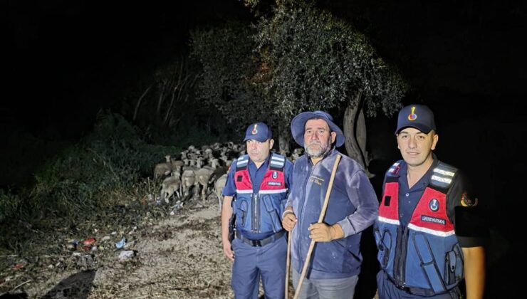 Bilecik’te Kaybolan Çoban ve 100 Küçükbaş Hayvan Dron ile Bulundu