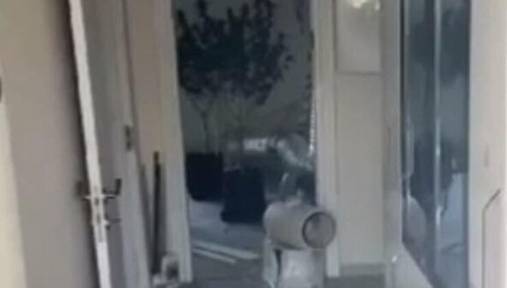 Bodrum’da Uyuşturucu Operasyonu: 10 Kilo Skunk ve 56 Kök Kenevir Ele Geçirildi