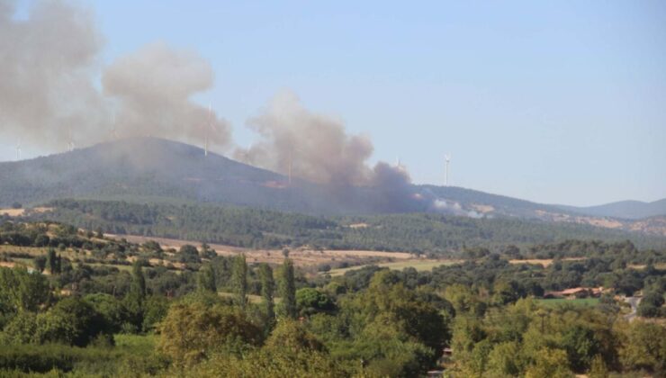 Çanakkale Bayramiç’te Orman Yangını
