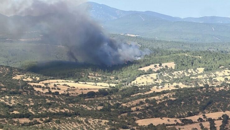 Çanakkale Bayramiç’te Orman Yangınına Büyük Müdahale