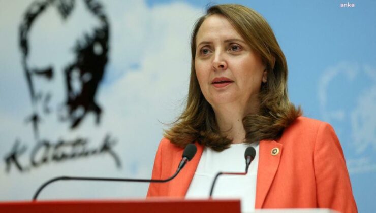 CHP’li Dinçer’den Altan Tan’a tepki: Düpedüz nefret siyaseti