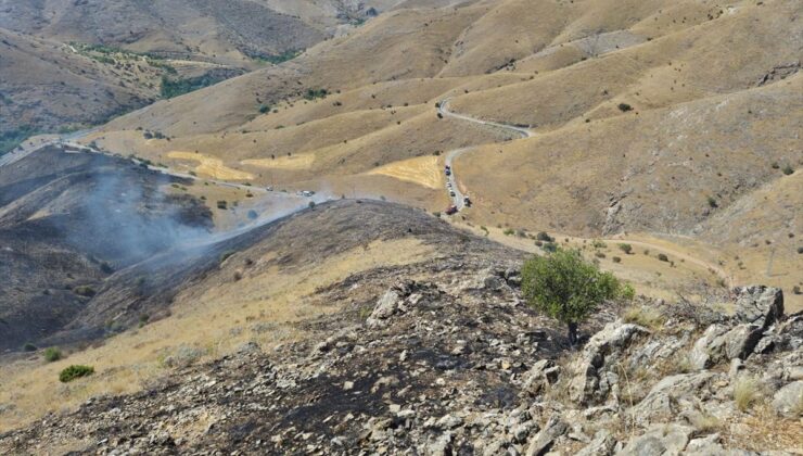 Elazığ’da Otluk Yangını Söndürüldü, 500 Dekar Zarar
