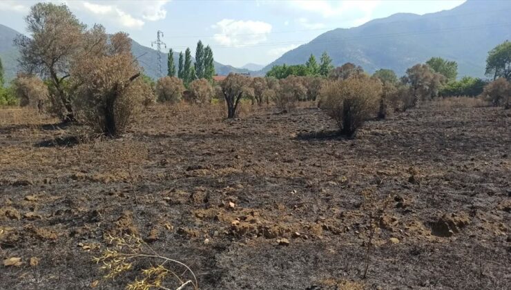 Fethiye’de yangın hasar tespiti sürüyor