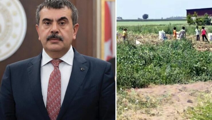 Hatay Kumlu’da vahim iddialar! Bakan Tekin’e çağrıda bulundular: Lütfen bu duruma el atın