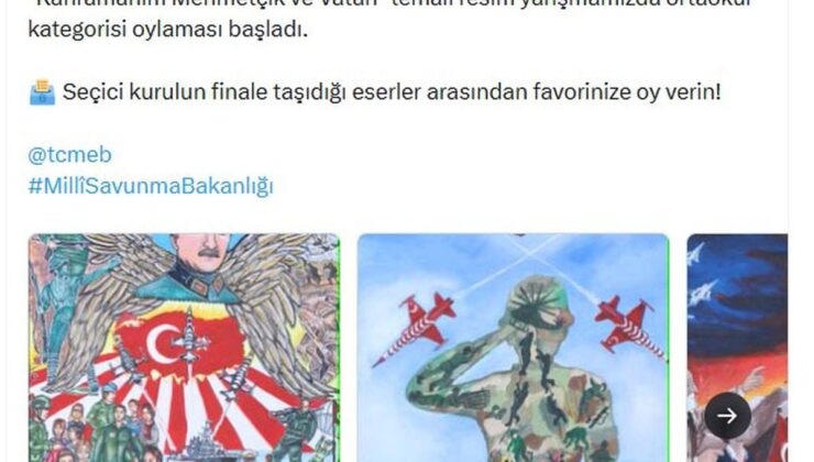 Kahramanım Mehmetçik ve Vatan Resim Yarışması’nda Halk Oylaması Başladı