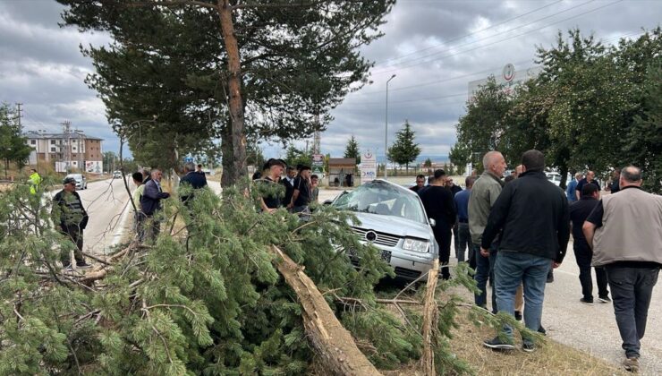 Kastamonu’da Otomobil Ağaca Çarptı: 3 Yaralı