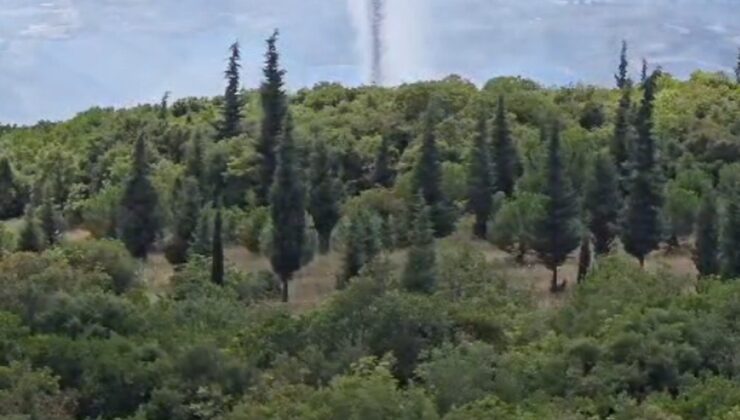 Kocaeli’de orman yangını